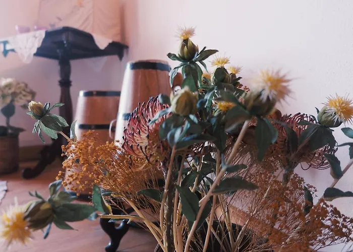 Baía De Canas Villa